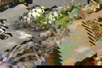 Blayney Farmers' Market