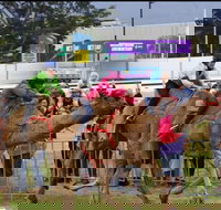 Camel Races at Gosford Showgrounds - Pubs Perth