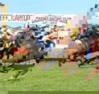 Casino Cup - Pubs Perth