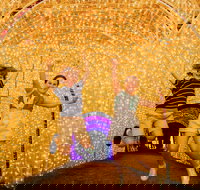 Christmas Lights Spectacular New Year's Eve at Hunter Valley Gardens - Pubs Perth