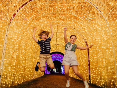 Christmas Lights Spectacular New Year's Eve At Hunter Valley Gardens - Pubs Perth 0