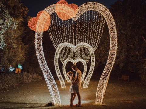 Christmas Lights Spectacular New Year's Eve At Hunter Valley Gardens - Pubs Perth 1