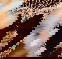 Christmas Lights Spectacular at Hunter Valley Gardens - Pubs Perth