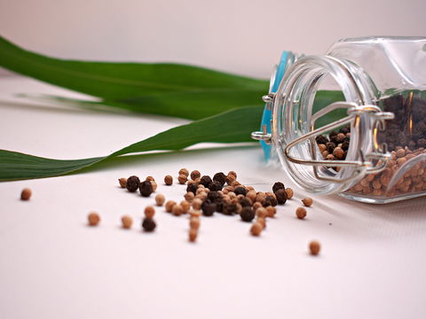 Cooking With Australian Indigenous Spices Cooking Class - Pubs Perth 0