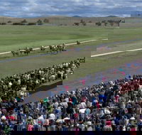 Cooma Sundowners Cup - Pubs Perth