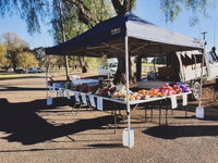 Cootamundra Girl Guides Markets