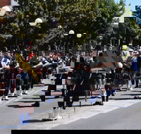 Corowa Rotary Federation Festival Parade - Pubs Perth