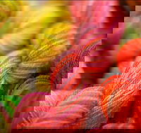 Creative Fibre - Pubs Perth