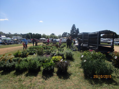 Crookwell Rotary Swap Meet And Market Day - Pubs Perth 1