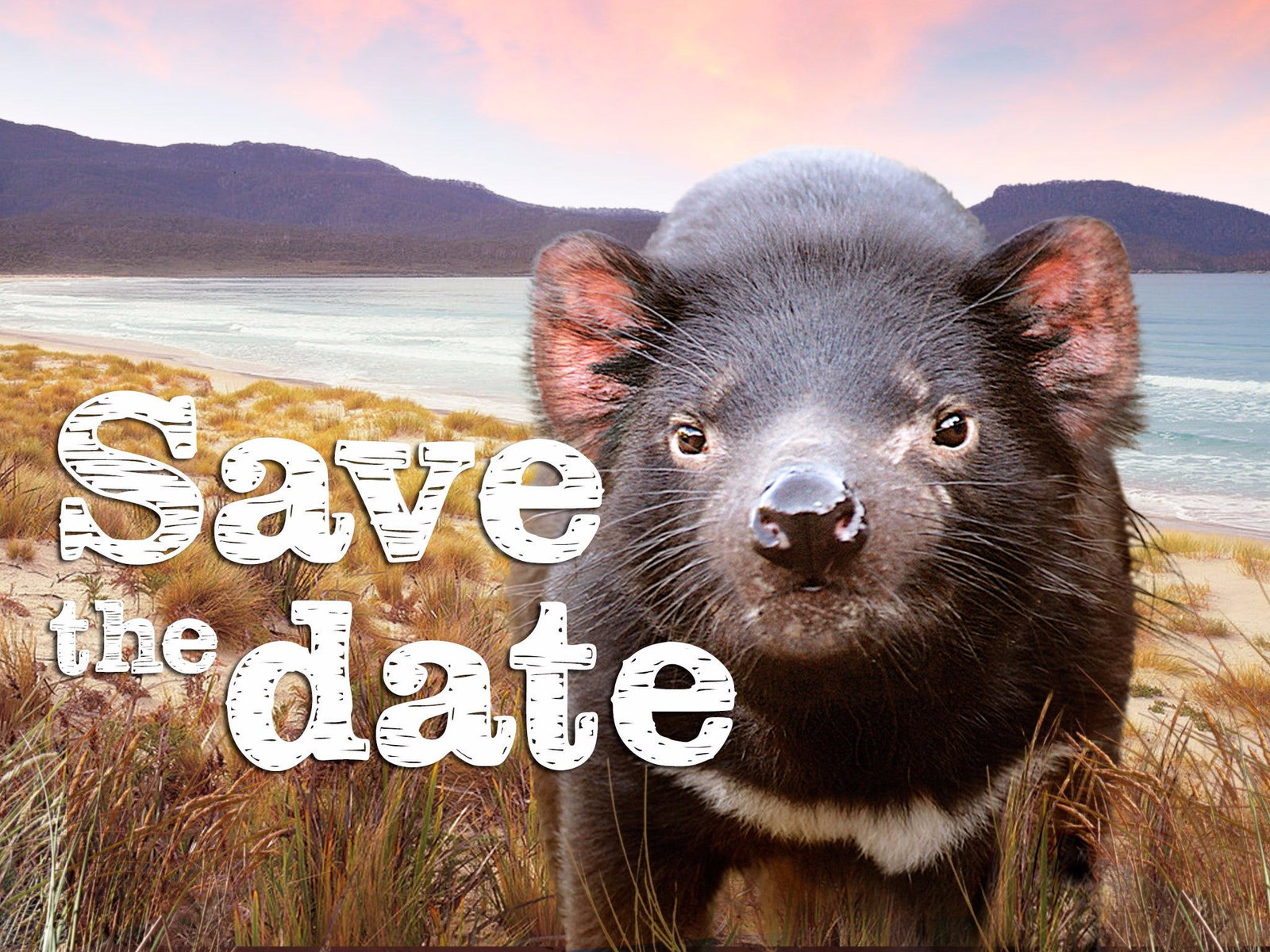 Charlotte Cove TAS Pubs Perth