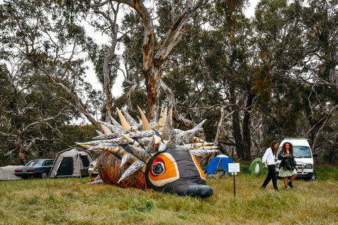 Field Good Festival - Pubs Perth 2