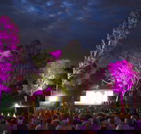 Fleurieu Film Festival - Pubs Perth