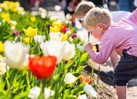 Floriade: Reimagined - Pubs Perth 1