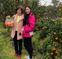 Fruit Taste Adventure Tours - Pubs Perth