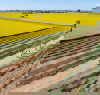 Gears and Beers Festival - Pubs Perth