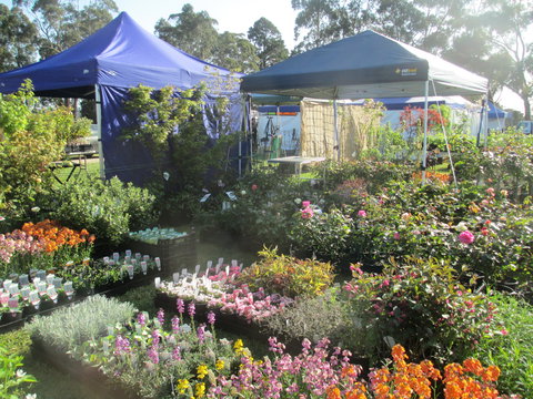Gippsland Garden And Home Expo-Drouin Lions Club - Pubs Perth 1