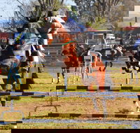 Glen Innes Pastoral and Agricultural Show - Pubs Perth