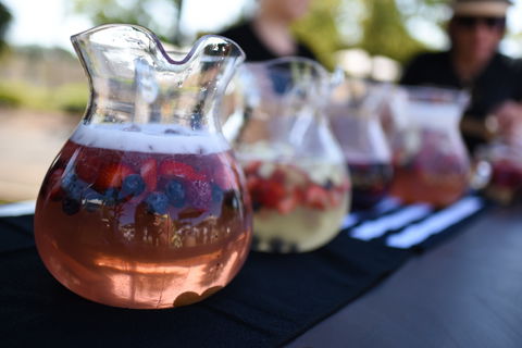 Griffith Spring Fest - LINX Launch Party - Pubs Perth 2