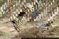 Book Rydal Accommodation Vacations Pubs Perth Pubs Perth