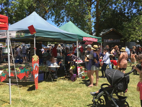 Macclesfield Strawberry Fete - Pubs Perth 1
