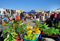 Maclean Macmarket Day