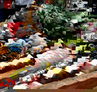 Manjimup Farmers Market - Pubs Perth
