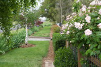 Millthorpe Garden Ramble