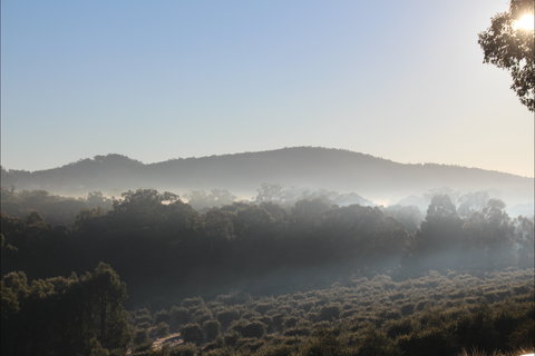 Mudgeeque - Pubs Perth 0