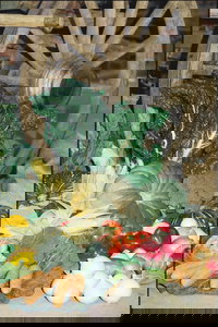 Mulgowie Real Farmers Markets