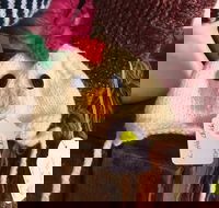 Murrindindi Beanie  Fibre Festival Online - Pubs Perth