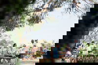 Music on the Murray