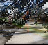 Ned Kelly Chase - Pubs Perth