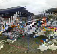 Perthville Village Fair - Pubs Perth