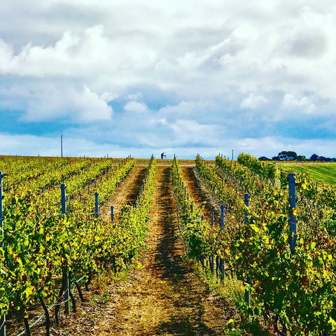 Peter Teakle Wines - Pubs Perth 1