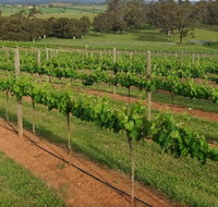 Razorback Ridge Wines Open Weekends - Pubs Perth
