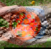 Riverina Producers Market - Pubs Perth