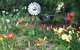 Riverina Iris Farm Open Garden And Iris Display - thumb 2