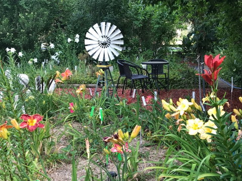 Riverina Iris Farm Open Garden And Iris Display - Pubs Perth 2