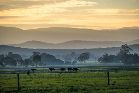 Rotary Club Of Maffra Community Market - Pubs Perth 0