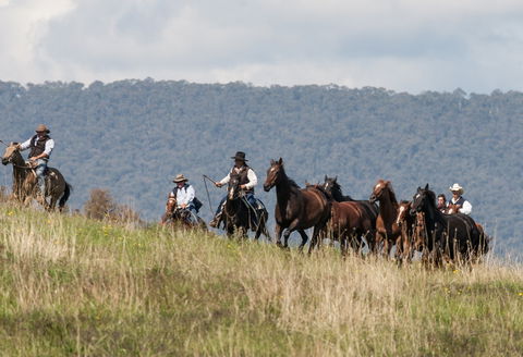 The Man From Snowy River Bush Festival - Pubs Perth 1