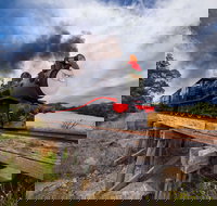 The Bellarine Railway Santa Train Specials - Pubs Perth