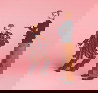 The Comedy of Errors - Pubs Perth