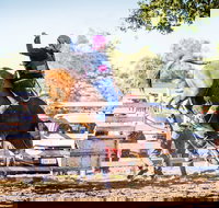 Theodore Bulls 'n' Barrels Bonanza - Pubs Perth