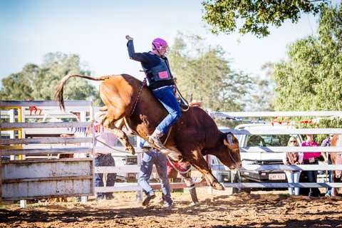 Theodore Bulls 'n' Barrels Bonanza - Pubs Perth 0