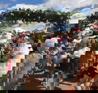 The Christmas Fair Mount Penang Gardens Kariong - Pubs Perth