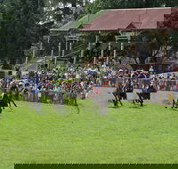 Tumut Boxing Day Races - Pubs Perth