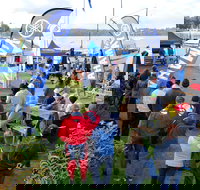 Twin Rivers Bream Classic - Pubs Perth