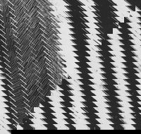WA Now  Tom Mller Monolith Scores - Pubs Perth