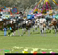 Wangaratta Show - Pubs Perth