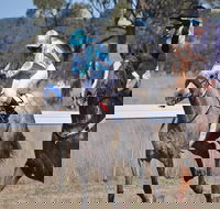 Wean Picnic Races - Pubs Perth